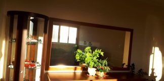 15 stvari u kući koje su magnet za sreću: Naše bake su verovale da ovo svaka kuća treba da ima 15 stvari u kući koje su magnet za sreću: Naše bake su verovale da ovo svaka kuća treba da ima - featured image