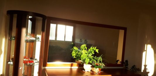 15 stvari u kući koje su magnet za sreću: Naše bake su verovale da ovo svaka kuća treba da ima 15 stvari u kući koje su magnet za sreću: Naše bake su verovale da ovo svaka kuća treba da ima - featured image