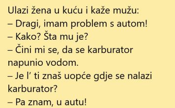 VIC DANA: Karburator