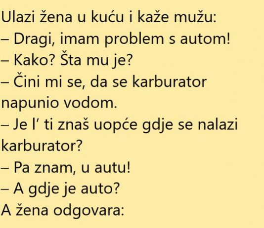 VIC DANA: Karburator