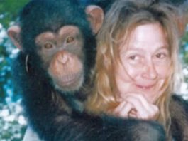 Sandra je godinama gajila šimpanzu i spavala sa njom, ne sluteći šta će je snaći: Taj užas potresao je ceo svet Sandra je godinama gajila šimpanzu i spavala sa njom, ne sluteći šta će je snaći: Taj užas potresao je ceo svet - featured image