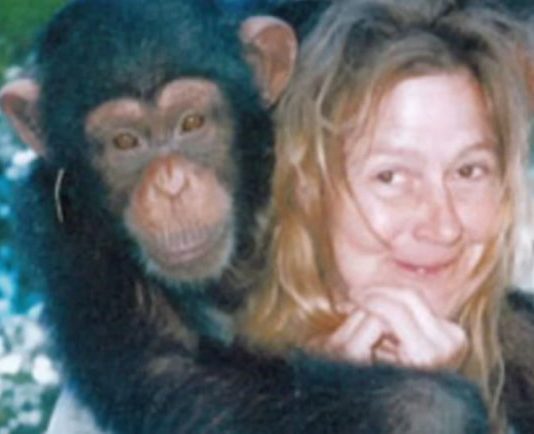 Sandra je godinama gajila šimpanzu i spavala sa njom, ne sluteći šta će je snaći: Taj užas potresao je ceo svet Sandra je godinama gajila šimpanzu i spavala sa njom, ne sluteći šta će je snaći: Taj užas potresao je ceo svet - featured image