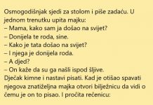 VIC DANA: Donijela ga roda