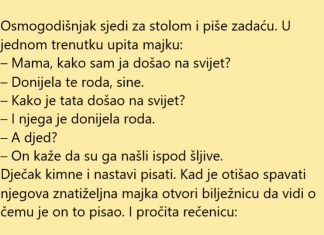 VIC DANA: Donijela ga roda