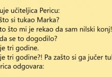 VIC DANA: Rekao mu da je nilski konj