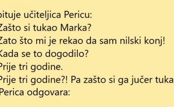 VIC DANA: Rekao mu da je nilski konj