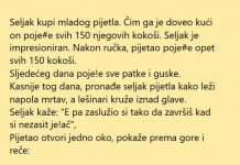 VIC DANA: Seljak i pijetao