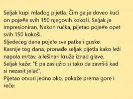 VIC DANA: Seljak i pijetao