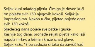 VIC DANA: Seljak i pijetao