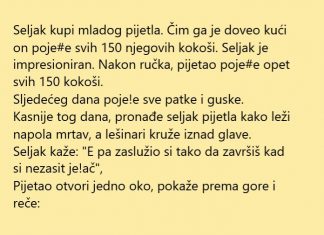 VIC DANA: Seljak i pijetao