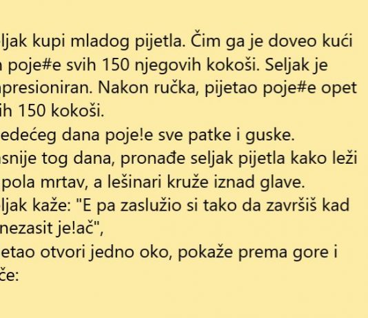 VIC DANA: Seljak i pijetao