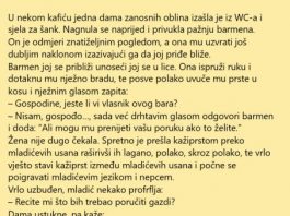 VIC DANA: Konobar i dama zanosnih oblina