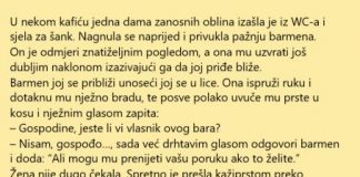 VIC DANA: Konobar i dama zanosnih oblina