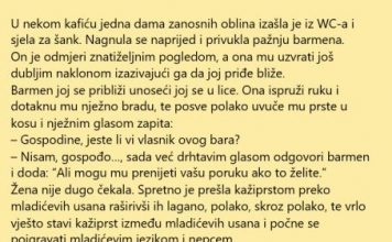 VIC DANA: Konobar i dama zanosnih oblina