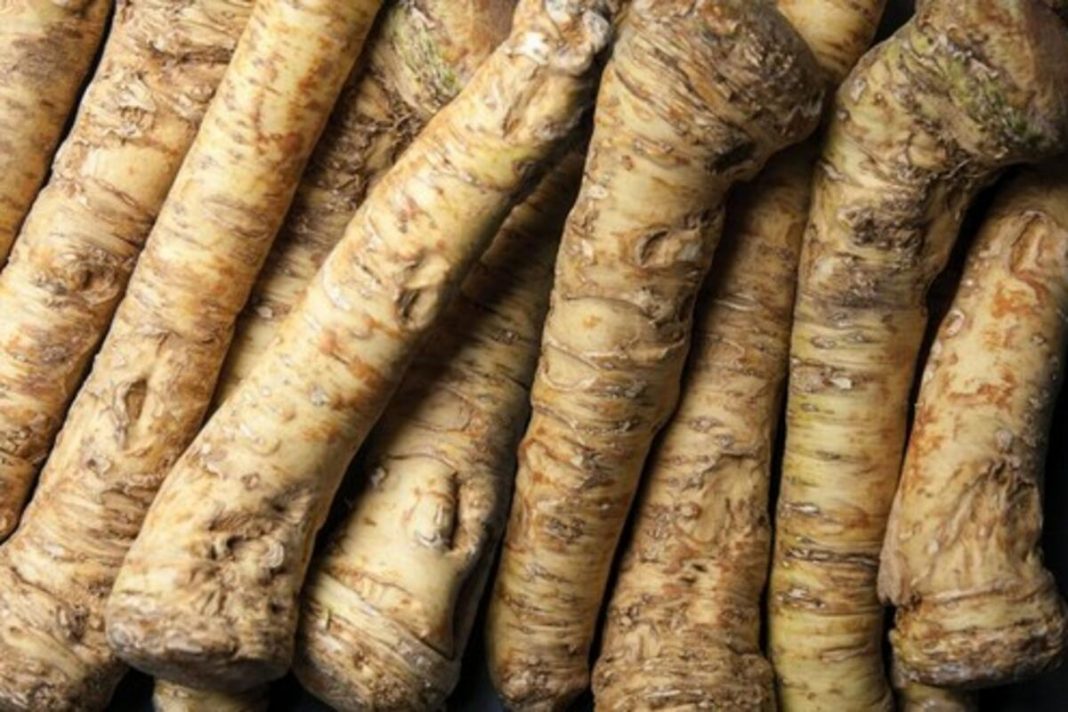 Ovaj prirodni antibiotik otvara sinuse i jača imunitet! Nema zdravijeg, posle njega svi osete isto - featured image Ovaj prirodni antibiotik otvara sinuse i jača imunitet! Nema zdravijeg, posle njega svi osete isto - featured image