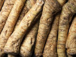 Ovaj prirodni antibiotik otvara sinuse i jača imunitet! Nema zdravijeg, posle njega svi osete isto Ovaj prirodni antibiotik otvara sinuse i jača imunitet! Nema zdravijeg, posle njega svi osete isto - featured image