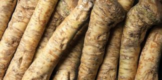 Ovaj prirodni antibiotik otvara sinuse i jača imunitet! Nema zdravijeg, posle njega svi osete isto Ovaj prirodni antibiotik otvara sinuse i jača imunitet! Nema zdravijeg, posle njega svi osete isto - featured image