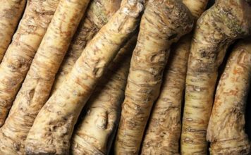 Ovaj prirodni antibiotik otvara sinuse i jača imunitet! Nema zdravijeg, posle njega svi osete isto Ovaj prirodni antibiotik otvara sinuse i jača imunitet! Nema zdravijeg, posle njega svi osete isto - featured image