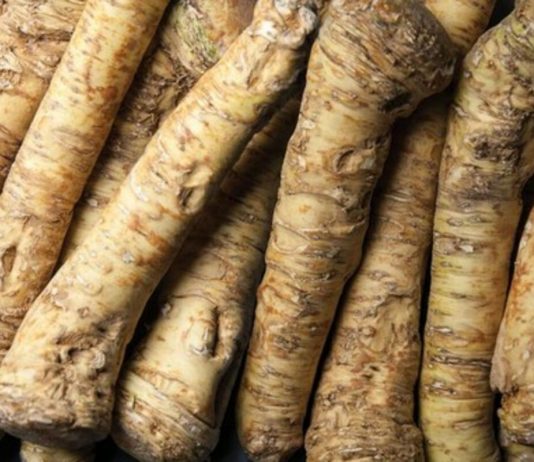 Ovaj prirodni antibiotik otvara sinuse i jača imunitet! Nema zdravijeg, posle njega svi osete isto Ovaj prirodni antibiotik otvara sinuse i jača imunitet! Nema zdravijeg, posle njega svi osete isto - featured image