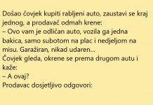 VIC DANA: Rabljeni auto