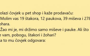 VIC DANA: Štakori i žohari