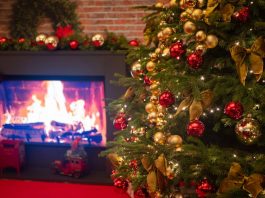 Trik od 100 dinara koji jelku čini gušćom: Luksuzan izgled uz samo jednu stvar (VIDEO) Trik od 100 dinara koji jelku čini gušćom: Luksuzan izgled uz samo jednu stvar (VIDEO) - featured image