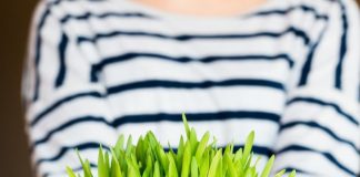 Kako da vam božićna pšenica bude savršena? Pomoću ovih jednostavnih caka, više je nikad neće kupiti u prodavnici Kako da vam božićna pšenica bude savršena? Pomoću ovih jednostavnih caka, više je nikad neće kupiti u prodavnici - featured image