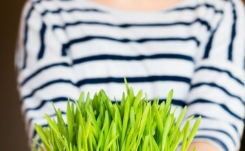 Kako da vam božićna pšenica bude savršena? Pomoću ovih jednostavnih caka, više je nikad neće kupiti u prodavnici Kako da vam božićna pšenica bude savršena? Pomoću ovih jednostavnih caka, više je nikad neće kupiti u prodavnici - featured image