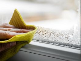 Evo kako da izbegnete zamagljene prozore zimi: Sve što vam je potrebno već je u vašoj kuhinji Evo kako da izbegnete zamagljene prozore zimi: Sve što vam je potrebno već je u vašoj kuhinji - featured image