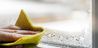 Evo kako da izbegnete zamagljene prozore zimi: Sve što vam je potrebno već je u vašoj kuhinji Evo kako da izbegnete zamagljene prozore zimi: Sve što vam je potrebno već je u vašoj kuhinji - featured image