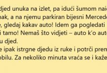 VIC DANA: Mercedes na proplanku