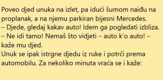 VIC DANA: Mercedes na proplanku