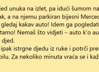 VIC DANA: Mercedes na proplanku