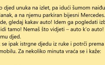 VIC DANA: Mercedes na proplanku