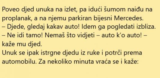 VIC DANA: Mercedes na proplanku