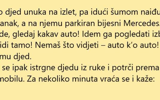 VIC DANA: Mercedes na proplanku