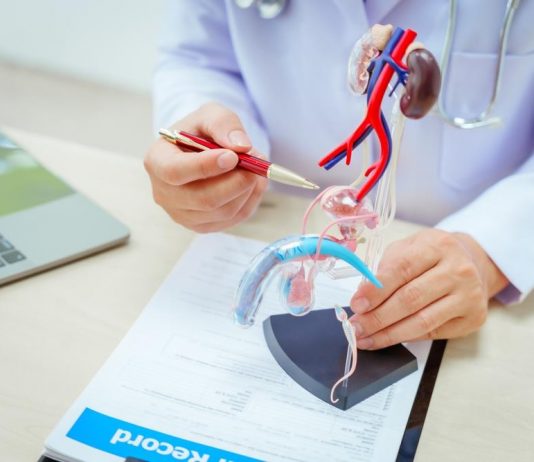 Pet simptoma da je prostata u problemu: Urolog otkriva kada je vreme za posetu lekaru Pet simptoma da je prostata u problemu: Urolog otkriva kada je vreme za posetu lekaru - featured image