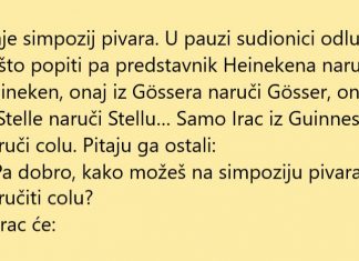 VIC DANA: Simpozij pivara