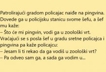 VIC DANA: Policajac našao pingvina
