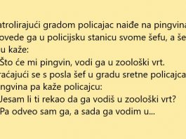 VIC DANA: Policajac našao pingvina
