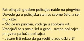 VIC DANA: Policajac našao pingvina