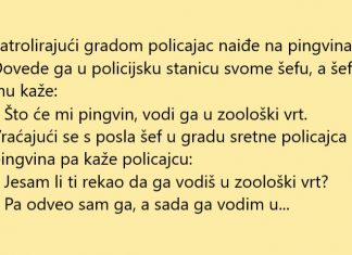 VIC DANA: Policajac našao pingvina