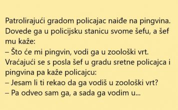 VIC DANA: Policajac našao pingvina