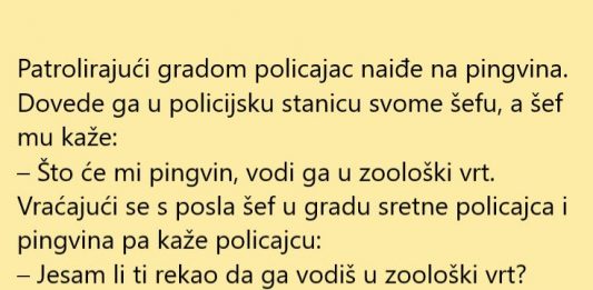 VIC DANA: Policajac našao pingvina