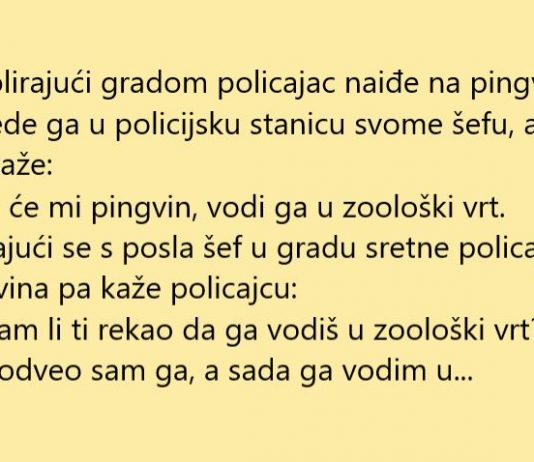 VIC DANA: Policajac našao pingvina
