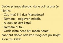 VIC DANA: Dva Mercedesa