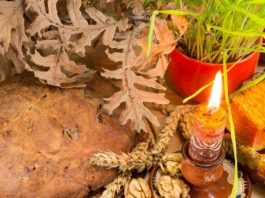 14. januara slavimo Mali Božić: Zašto se uzima kašika meda i šta treba ispoštovati za zdravlje i sreću porodice! 14. januara slavimo Mali Božić: Zašto se uzima kašika meda i šta treba ispoštovati za zdravlje i sreću porodice! - featured image