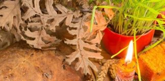 14. januara slavimo Mali Božić: Zašto se uzima kašika meda i šta treba ispoštovati za zdravlje i sreću porodice! 14. januara slavimo Mali Božić: Zašto se uzima kašika meda i šta treba ispoštovati za zdravlje i sreću porodice! - featured image