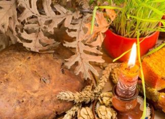 14. januara slavimo Mali Božić: Zašto se uzima kašika meda i šta treba ispoštovati za zdravlje i sreću porodice! 14. januara slavimo Mali Božić: Zašto se uzima kašika meda i šta treba ispoštovati za zdravlje i sreću porodice! - featured image