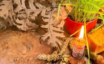 14. januara slavimo Mali Božić: Zašto se uzima kašika meda i šta treba ispoštovati za zdravlje i sreću porodice! 14. januara slavimo Mali Božić: Zašto se uzima kašika meda i šta treba ispoštovati za zdravlje i sreću porodice! - featured image